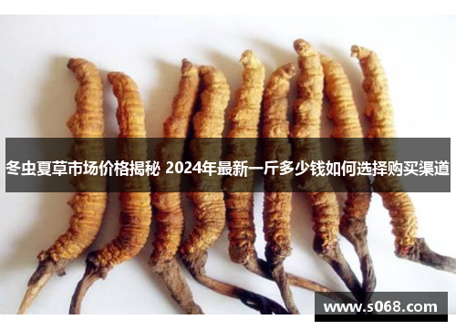 冬虫夏草市场价格揭秘 2024年最新一斤多少钱如何选择购买渠道