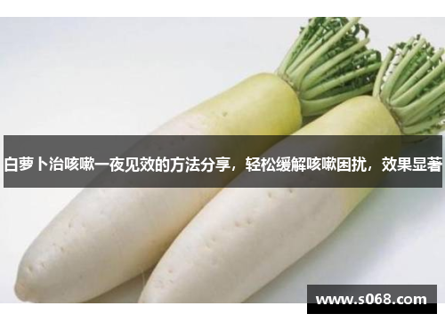 白萝卜治咳嗽一夜见效的方法分享，轻松缓解咳嗽困扰，效果显著